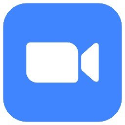 Zoom Icon